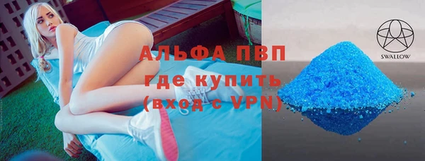 сатива Баксан