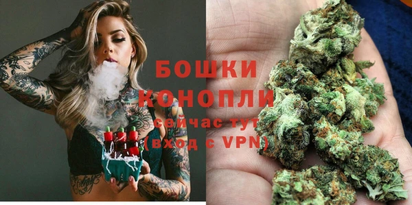 сатива Баксан