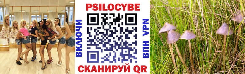 Псилоцибиновые грибы Cubensis  Гаврилов Посад 